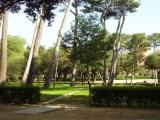 Parc Bosc de Figueres RTT