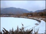 踏雪寻梅---Through the snow and find the plum blossom