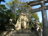 Sumiyoshitaisha Shrine　住吉大社 狛犬 吽形