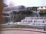 see it1 see it1