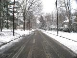 Vickers Ave. Late-Winter Snow Vickers Ave. Late-Winter Snow