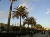 Savona beach