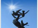 El amor por las palomas