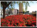 Jardines  del Malecón