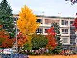 Primary colors and primary school Primary colors and primary school