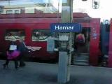 hamar