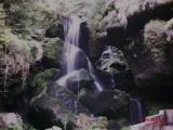 elbsandstein-gebirge...water-nature...germany elbsandstein-gebirge...water-nature...germany