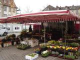 Flower Market Erlangen Germany Flower Market Erlangen Germany