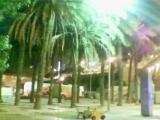 Parque de la estación de tren (de noche)