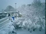 Winter in Switzerland, Neuhausen. Winter in Switzerland, Neuhausen.
