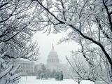 The U.S. Capitol in Snow