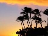 Waikiki Sunset Waikiki Sunset