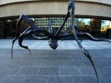 Crouching Spider, Louise Bourgeois