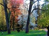 Kórnik Park - wiosna 2009