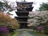 Ninnaji Gojunoto - 仁和寺五重塔