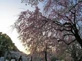 大阪城 西の丸庭園入り口(OSAKA JO CASTLE NISHINOMARU GARDEN)