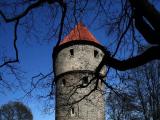 Tallinn Tallinn