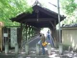 Tofukuji Temple Gyoun-bridge Tofukuji Temple Gyoun-bridge