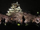 Full Osaka castle park in spring
