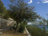 Parque de la Ereta (by vtemz)