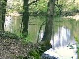 Natur Natur