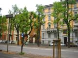 Viale degli Angeli