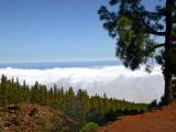 Subiendo al Teide