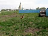 Повседневная жизнь. Bolgar, Tatarstan (Russia) Повседневная жизнь. Bolgar, Tatarstan (Russia)
