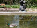 Kurpark, Garmisch-Partenkirchen, Oberbayern, Bayern, Deutschland Kurpark, Garmisch-Partenkirchen, Oberbayern, Bayern, Deutschland