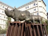 Rhinos in Ancona Rhinos in Ancona