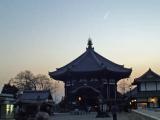 興福寺 南園堂 Kofukuji temple(Nan-en dou) in Nara park 興福寺 南園堂 Kofukuji temple(Nan-en dou) in Nara park