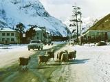 Local habitants on the run. Baksan valley 1985