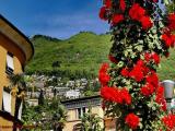 Roses & mountains
