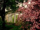 Колоннада в усадьбе князей Голицыных Пехра-Яковлевская (The colonnade of Pekhra-Yakovlevskoye Farmstead (the former estate of the Prince Golitsin) Колоннада в усадьбе князей Голицыных Пехра-Яковлевская (The colonnade of Pekhra-Yakovlevskoye Farmstead (the former estate of the Prince Golitsin)