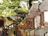Nara Park Japan o=k Nara Park Japan o=k