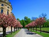 Residenz Würzburg Residenz Würzburg
