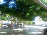 parke de la plaza jacinto benavente almeria parke de la plaza jacinto benavente almeria