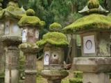 Kasuga Shrine Kasuga Shrine