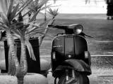 vespa vespa