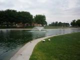 Young Park, Las Cruces, NM Young Park, Las Cruces, NM