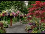 Glacier Gardens Rainforest Adventure, Juneau, Alaska