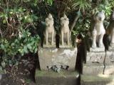 Shiroyamainarijinja_Shrine_城山稲荷神社 Shiroyamainarijinja_Shrine_城山稲荷神社