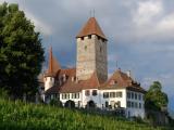 Spiez, summer evening sun on the castle and its vineyard Spiez, summer evening sun on the castle and its vineyard