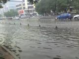 暴雨 暴雨