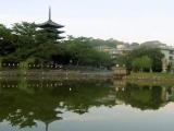 Sarusawa pond 猿沢池 Sarusawa pond 猿沢池