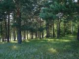 Озеро Рабиги (Рабига күле) | Lake Rabiga Озеро Рабиги (Рабига күле) | Lake Rabiga