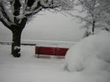 Inverno 2006