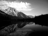 Mt Moran and forest reflections (b&w)