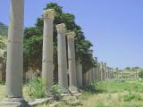 Efes- Εφεσος(Αγορά) Efes- Εφεσος(Αγορά)