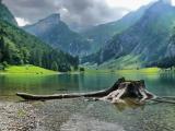 Beim Seealpsee © by Sunpixx Beim Seealpsee © by Sunpixx